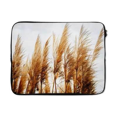 Produktbild von MuchoWow® Laptop Hülle 15 Zoll Pampasgras - Sonne - Gras Laptoptasche - Laptoptasche - Sleeve - Rundum-Schutz