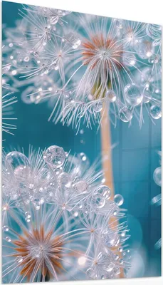 Produktbild von Glasbild 60x90cm in XXL für Wohnzimmer, Schlafzimmer Motiv Wassertropfen Pusteblume