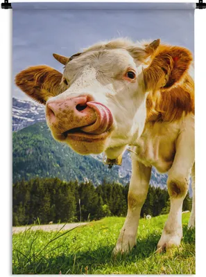 Produktbild von MuchoWow® Wandteppich Wandbehang Kühe - Berge - Gras - Landschaft - Alpen 120x180 cm Tapisserie Dekoration Wandtuch - Schlafzimmer - Dekorationen für das Haus