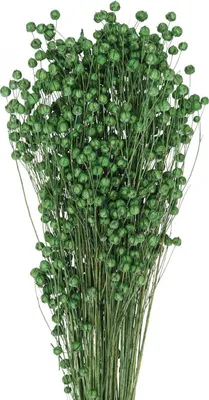 Produktbild von Trockengras Dekoration Flachs für Blumenarrangements und Kranzgestaltung