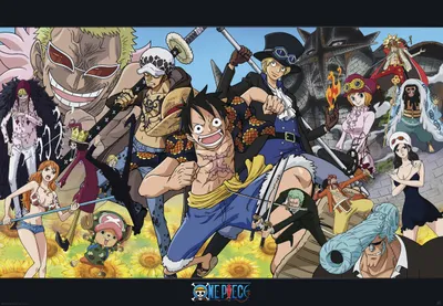 Produktbild von ONE PIECE - Poster Maxi 91cmx51cm - Dressrosa