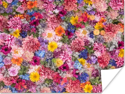 Produktbild von MuchoWow® Poster Blumen - Farben - Collage 40x30 cm - Plakate für die Wände - Poster Wohnzimmer