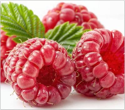 Produktbild von Spritzschutz Herdabdeckplatte Schneidebrett aus Glas Frische Himbeeren 1-Teilig (60x52cm)