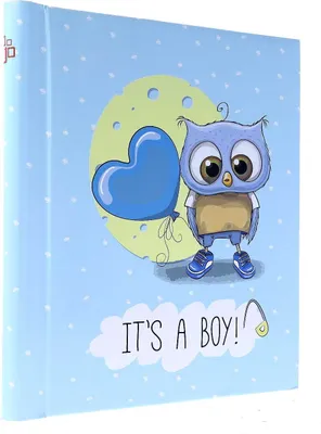 Immagine prodotto di Album fotografico autoadesivo per bambini 22x28/60. Blu gufo
