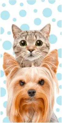 Immagine prodotto di Asciugamano da bagno per cani e gatti 70 x 140 cm