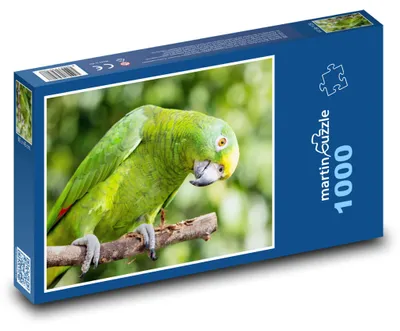 Obrázok produktu pre Puzzle 1000 Papagáj - Amazónik žltočelý - martinpuzzle