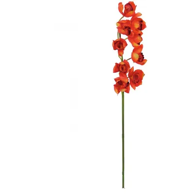 Obrázek produktu pro EUROPALMS Cymbidium větev, umělá, červená, 90cm (82530315)