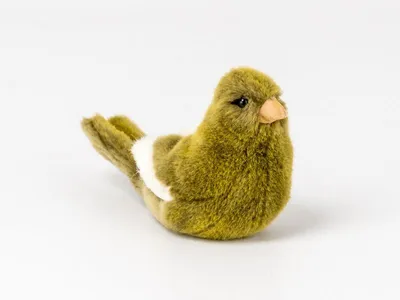 Produktbild von Kösen Kanarienvogel grün/weiß 15 cm