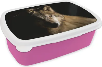 Produktbild von KitchenYeah® Lunchbox Brotzeit Brotdose 17x11 cm Polarwolf Kinder Brotzeitdose - Lunchpaket - Brotkasten  - Sandwich Box
