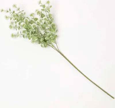 Obrázek produktu pro HOMESCAPES Umělá dekorativní větvička – zimostrázová větvička s bílými květy, 66 cm
