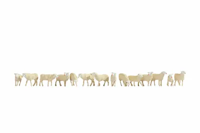 Image de Moutons