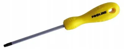 Image de PROLINE Tournevis TORX T9 x 60 Professionnel