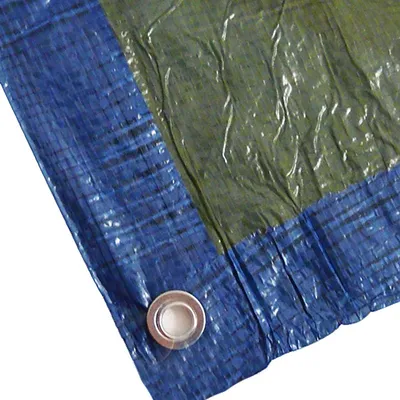 Productafbeelding van Zeildoek met oogjes, 3x5 meter