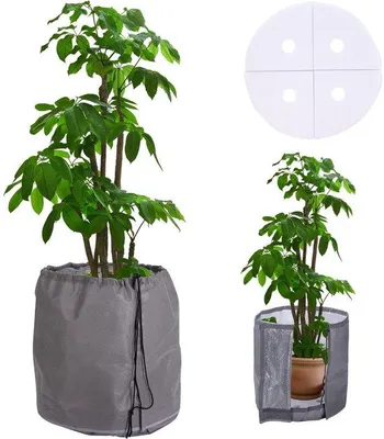 Image de Pot isolé d'extérieur, à double paroi, gris, 65 x 70 cm