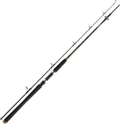 Zdjęcie produktu dla DAIWA BG Offshore Pilk 902H, 2.7m, 8.86ft, 40-125g, 2 sztuki, wędka pilk, 11905-275