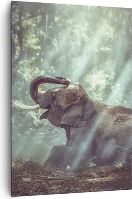 Produktbild von Bild auf Leinwand - Leinwandbild - Einteilig - Elefant Dschungel Stoßzahn - 70x100cm - Wand Bild - Wanddeko - Wandbilder - Leinwanddruck - Wanddekoration - Leinwand bilder - Wandbild - PA70x100-3486
