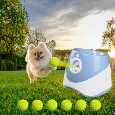 Ballwurfmaschine für Hunde, 6 Bälle, 3 Wurfweiten, wiederaufladbar
