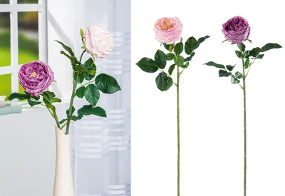 Produktbild von Gilde Stielblume, Rose, Kunststoff, lila, rosa, L. 10 cm, B. 24 cm, H. 61 cm 57238 4063387572382 2 Stück (2-fach sortiert)