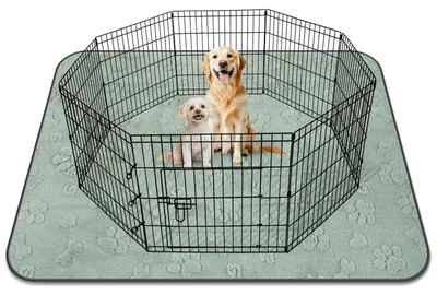 Image de Tapis absorbant pour chiot lavable - Antidérapant - Imprimé chien - Réutilisable