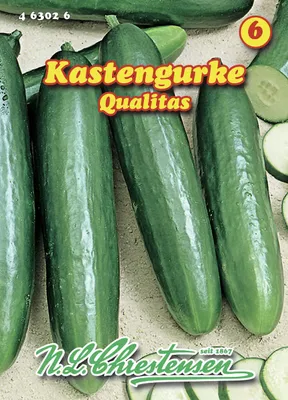 Produktbild von Kastengurke Qualitas | Gurkensamen von N.L. Chrestensen