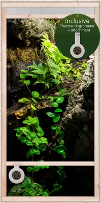 A terrarium with plants and two digital hygrometers.