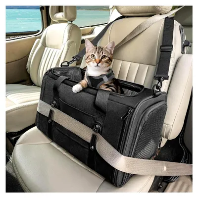 Produktbild von Transportbox für Katzen – Faltbare Transporttasche für Haustiere bis 5 kg mit Netzfenstern und Innenkissen – geeignet für Auto, Reisen und Tierarztbesuche – auch für kleine Hunde