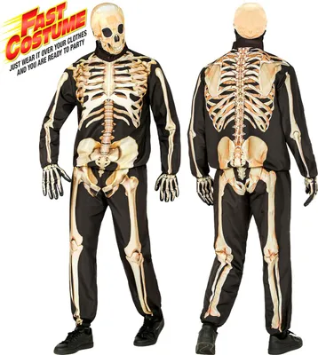 Image de Costume squelette Halloween, taille : M