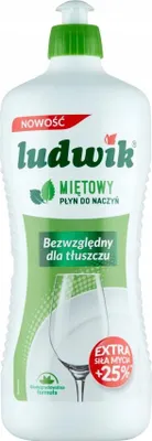 A bottle of Ludwik Mint dish soap against a white background.