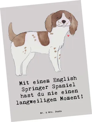 Produktbild von Mr. & Mrs. Panda Postkarte English Springer Spaniel Spaß - Grau Pastell - Geschenk, Hunderasse, Hunderassen Vielfalt, dynamisches Leben, verspielter Hund, Familienhund