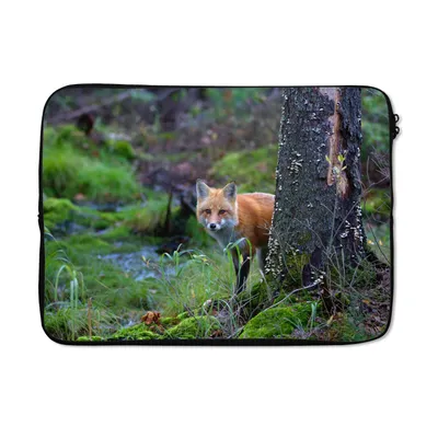 Produktbild von MuchoWow® Laptop Hülle 14 ZollFuchs - Baum - Waldtier - Herbst Laptoptasche - Laptoptasche - Stoßsicher - Schutzhaube