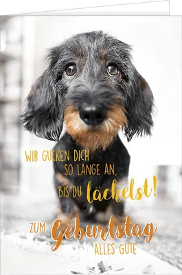 Produktbild von Geburtstag - A4 Karte mit Umschlag – Dackel - Zum Geburtstag alles Gute