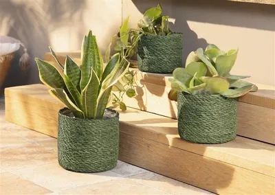 Produktbild von 3x Pflanzkorb "Green" aus Seegras, grün, Blumentopf, Pflanzkübel, Pflanztopf für Drinnen & Draußen, Blumenkübel
