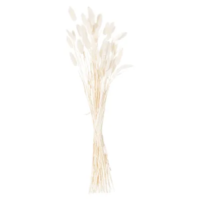 Immagine prodotto di Hill Interiors - Fiori secchi, erba di velluto confezione da 60 HI4170 (60 cm) (bianco)