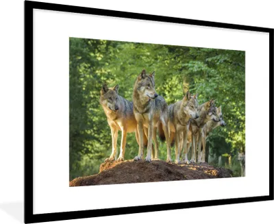 Produktbild von MuchoWow® Gerahmtes Poster Wolf - Braun - Wald 90x60 cm - Poster mit Schwarzem Bilderrahmen Wandposter Rahmen Foto Bilder - Wanddekoration - Fotos