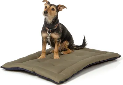 Produktbild von gepolsterte Liegedecke 75 x 55 cm, dunkelblau/oliv bei 95°C waschbar für Hunde