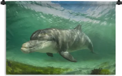 Produktbild von MuchoWow® Wandteppich Wandbehang Delfin - Tiere - Wasser 90x60 cm Tapisserie Dekoration Wandtuch - Wandskulpturen - Bildteppich