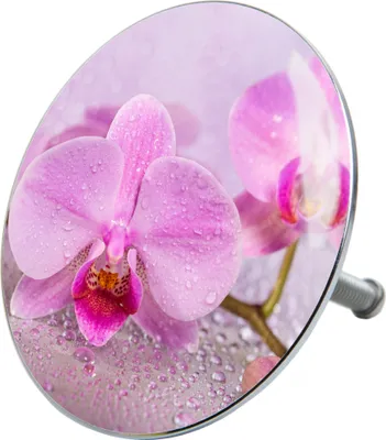 Produktbild von SANILO® Badewannenstöpsel, Blooming