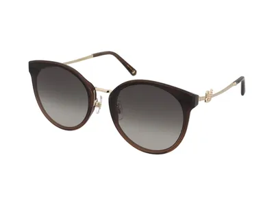 Produktbild von Swarovski SK0296-K 36F Größe: 64