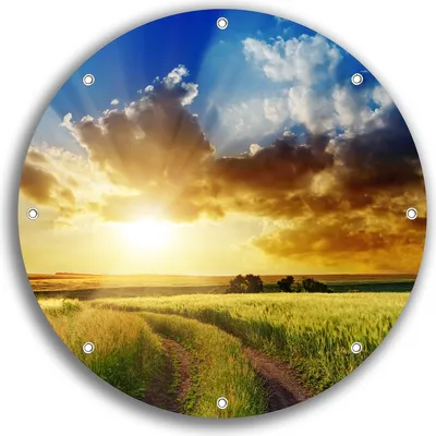 Produktbild von Wallario rundes Outdoor-Poster für Garten oder Balkon, Motiv Feldweg in den Sonnenuntergang, 30 cm Durchmesser