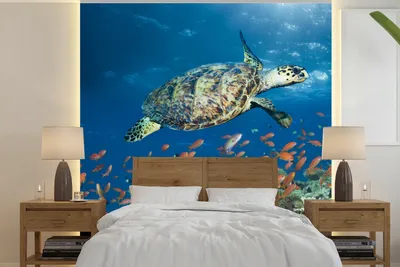 Produktbild von MuchoWow® Fototapete für Wohnzimmer oder Schlafzimmer Wandtapete Vinyl Motivtapete Korallenriff mit Schildkröte - 350x350 cm - Schlafzimmertapete