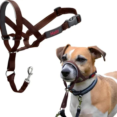 Immagine prodotto di Halti Pettorina/Headcollar noce, taglia: 4
