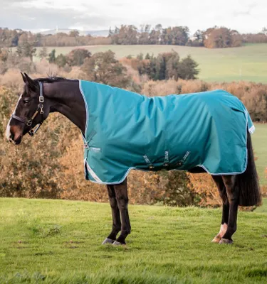 Produktbild von Horseware Amigo Bravo 12 Wug Turnout 0g Light Highneck Storm Green / Aqua & Turquoise , Horseware Deckengröße:145 cm / 6´6
