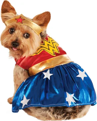 Obrázok produktu pre Wonder Woman Veľkosť: XXL