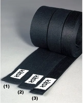 Produktbild von KWON Budo-Gürtel schwarz 5cm 240