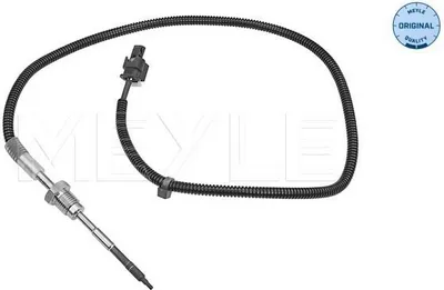 Image de Capteur, Abgastemperatur