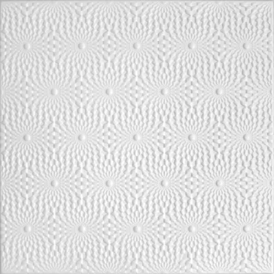 Produktbild von HEXIM Deckenplatten 50x50cm Styroporplatten weiß XPS Styropor, Deckenpaneele Feuchtraum Deckenverkleidung (NR.96, 2 m²)