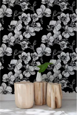 Produktbild von Coloray Fototapete 360x250 cm An Einer Wand Latex Latextapete - Orchideenblumen