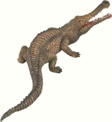 Immagine prodotto di Figura del Sarcosuchus di Collecta - gioco educativo e interattivo per bambini