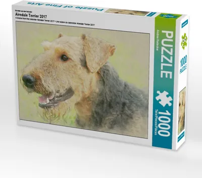 Produktbild von Calvendo Ein Motiv aus dem Kalender Airedale Terrier 2017 1000 Teile Puzzle quer 640x480mm, Redecker Andrea; 7367305