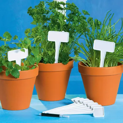 Produktbild von Pflanzenschilder mit Stift, 16 Stück